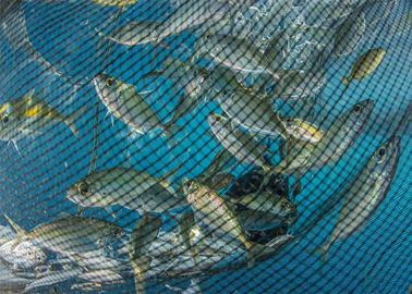 Βαθύ ωκεάνιο δίκτυο ψαριών που κατασκευάζει τη μηχανή, στρογγυλή μηχανή δικτύου σκιάς νημάτων
