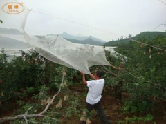 Λευκό χρώμα Ιατρική Ιατρική Ιατρική Ιατρική Ιατρική Ιατρική