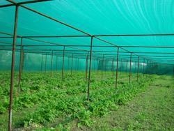 Υψηλής παραγωγικότητας HDPE Green Shade Net Suppliers Μηχανή με διαφορετικά χαρακτηριστικά και ανοιχτό γρανάζι