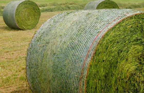 Μηχανή Πλέξης Δικτυού Αγροτικών Δεμάτων HDPE 7500W Warp Style