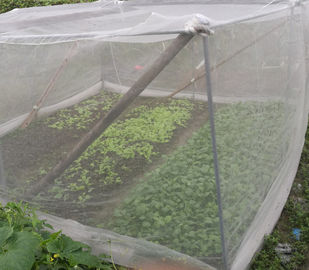 Λαχανικό PE την υψηλή αποδοτικότητα παραγωγής μηχανών που προστατεύει του δικτύου/δικτύου κουνουπιών